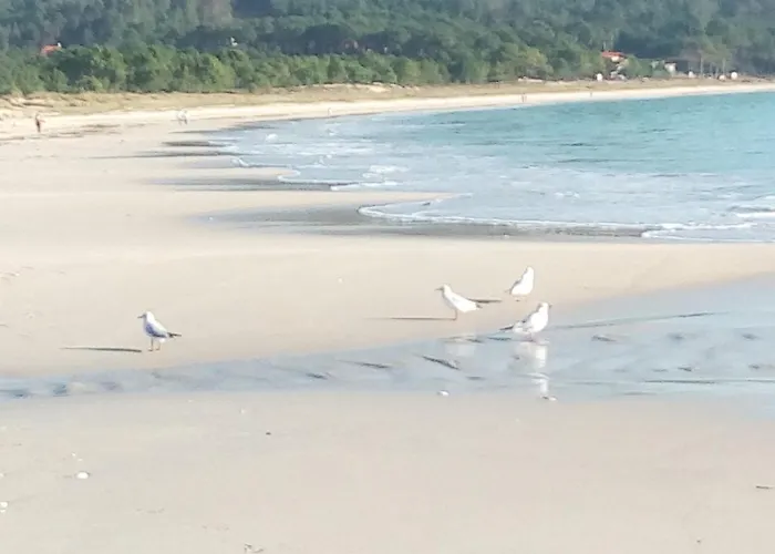 Primera Linea Playa Langosteira *